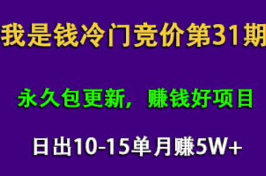 我是钱第31期网授课程网授课百度冷门竞价（完结）