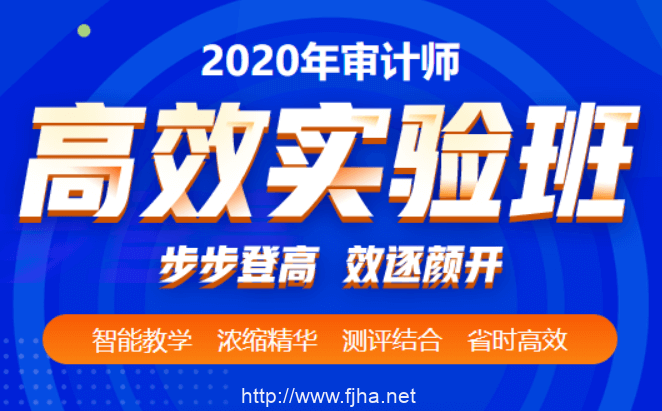2020初·中级审计师李斌审计理论与实务、审计专业相关知识