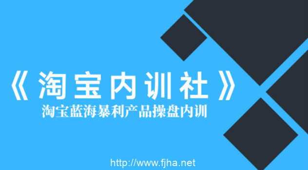 盗坤：淘宝内训社·淘宝蓝海暴利产品操盘内训