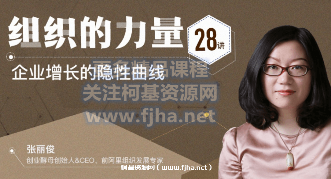 张丽俊：组织的力量28讲价值160元-百度云下载