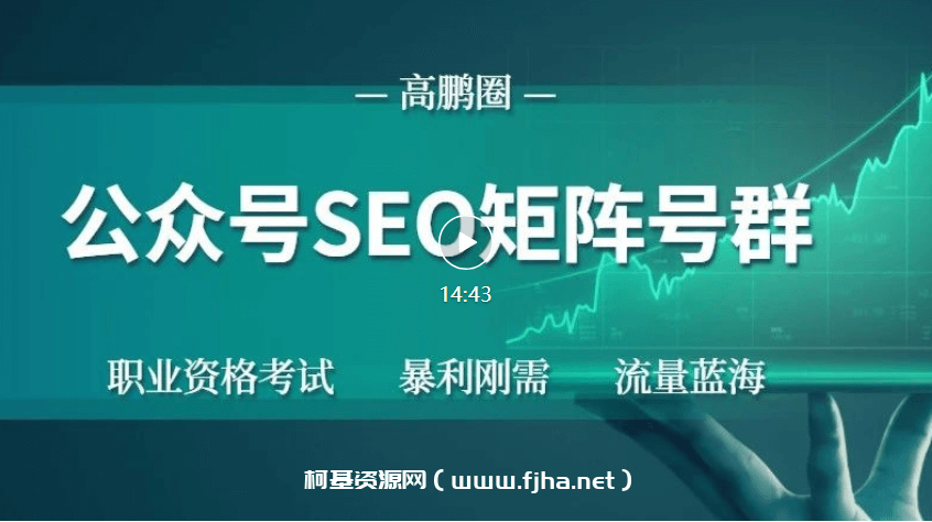 高鹏：公众号SEO矩阵项目