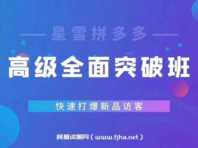 星雪教育《拼多多特训班》