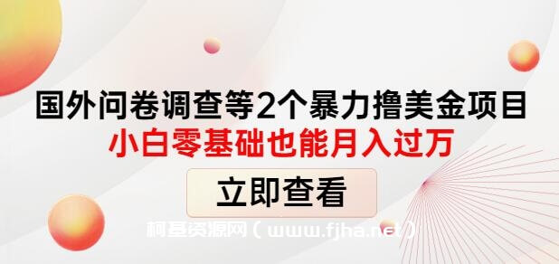 国外问卷调查等2个暴力撸美金项目