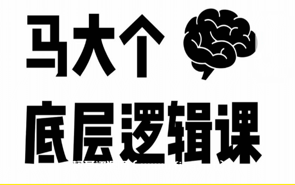 马大个·底层逻辑课