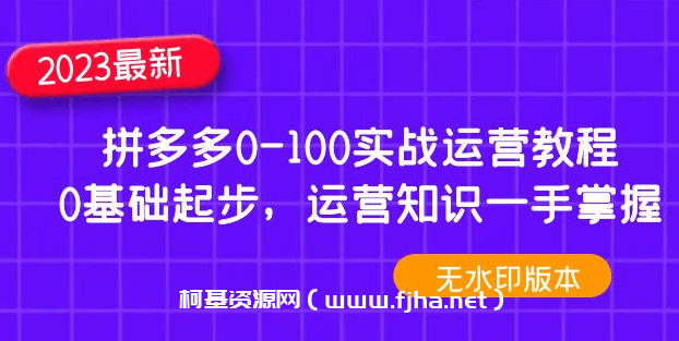 2023拼多多0-100实战运营教程