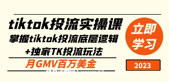 tiktok投流实操课