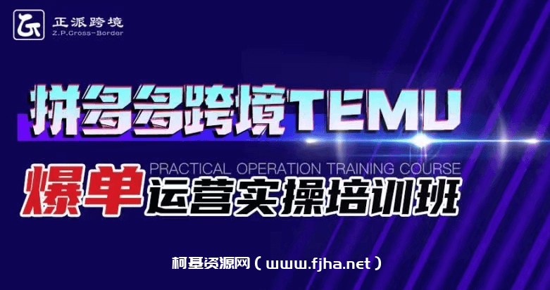 拼多多跨境TEMU爆单运营实操培训班