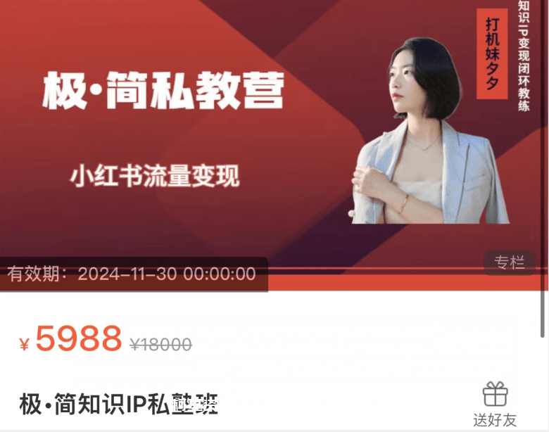 极·简知识IP私塾班