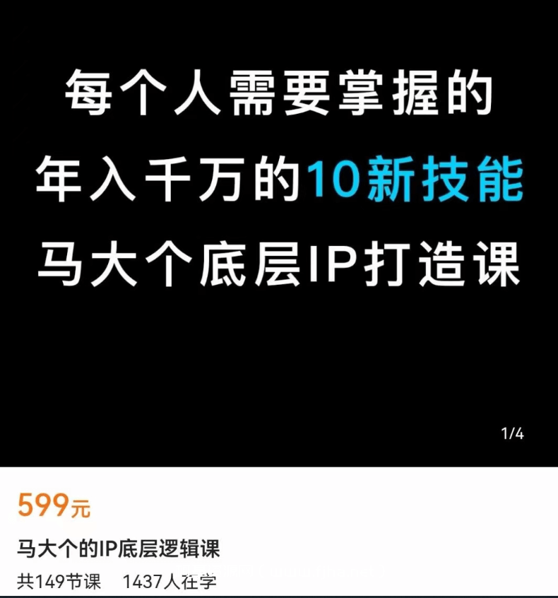 马大个的IP底层逻辑课149节完整