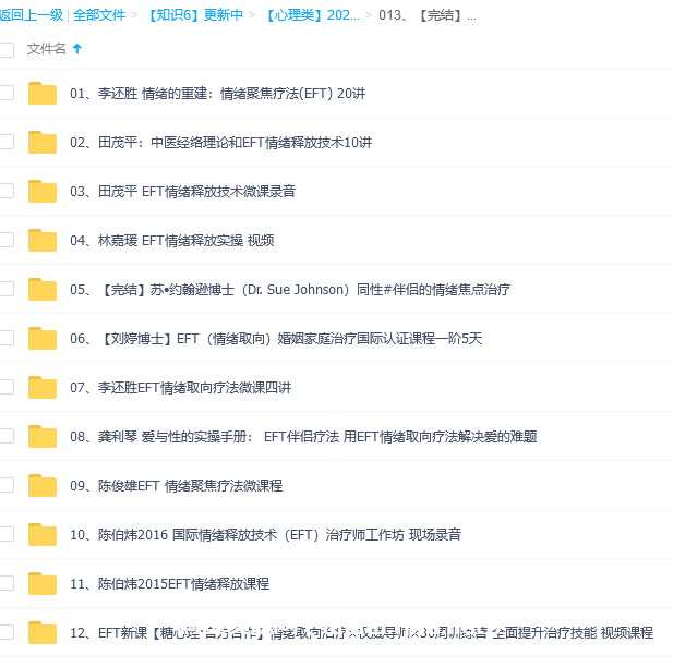 【完结】EFT课程合集