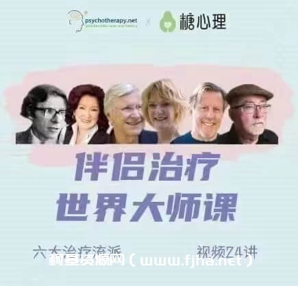 【完结】伴侣治疗世界大师课 六大流派视频24讲