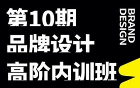 卢帅品牌设计内训高阶班第10期