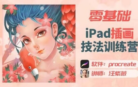 汪紫薇零基础IPAD插画技法实训